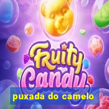 puxada do camelo